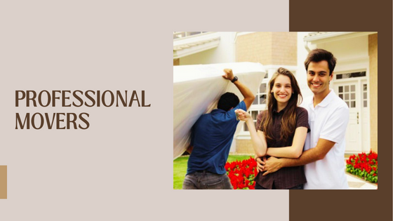 Benefits Of Hiring Professional Moving Services in Phoenix - Flower Site