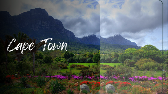 Cape Town for Nature Lovers - Flower Site